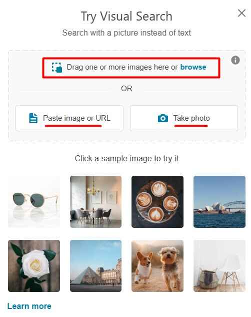 Choose Your Image Input Option