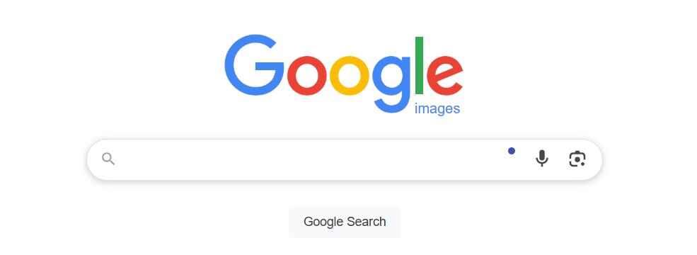Google Image search